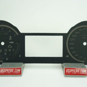 US Speedo OEM Replica